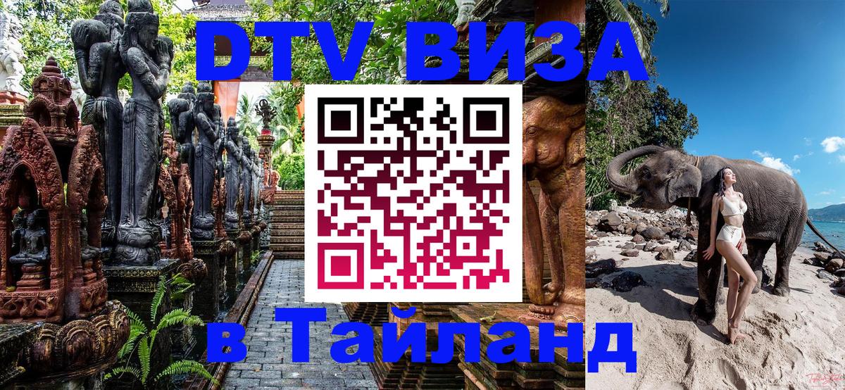 Оформление DTV визы под ключ: стоимость и тарифы, только загранпаспорт - 19.11.2025 